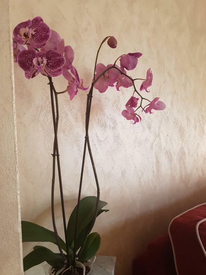 Casa Vacanza Nonna Dora Matera Exteriér fotografie